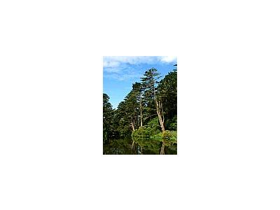 Photo Small Golden Gate Park Stow Lake Travel