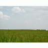 Photo Small Field 49 Landscape